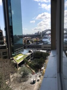 view
